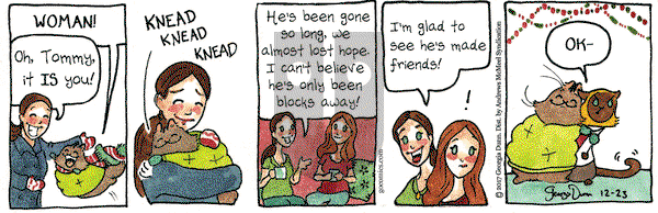Breaking Cat News on Saturday December 23, 2017 Comic Strip