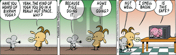 Pearls Before Swine on Saturday May 19, 2018 Comic Strip