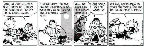 Calvin and Hobbes on Friday June 17, 1988 Comic Strip