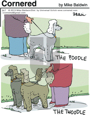 Cornered on Saturday September 7, 2013 Comic Strip
