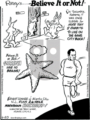 Ripley's Believe It or Not on Saturday June 20, 1998 Comic Strip