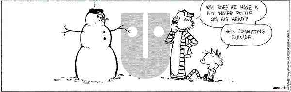 Calvin and Hobbes on Tuesday January 4, 1994 Comic Strip