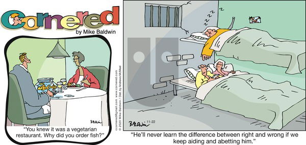 Cornered on Sunday November 22, 2020 Comic Strip