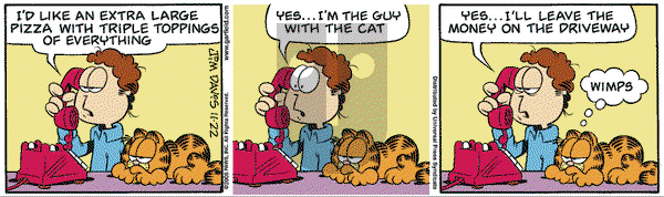 Garfield on Tuesday November 22, 2005 Comic Strip