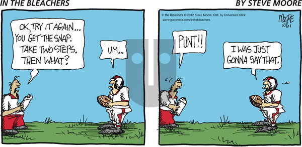 In the Bleachers on Sunday October 21, 2012 Comic Strip