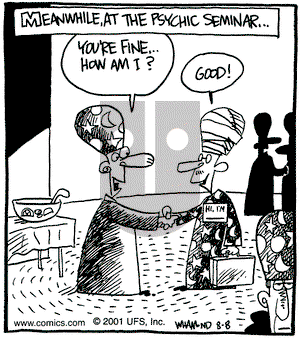 Reality Check on Wednesday August 8, 2001 Comic Strip