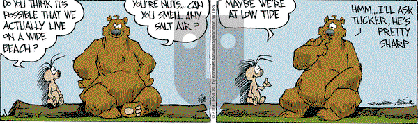 The Grizzwells on Tuesday May 28, 2019 Comic Strip
