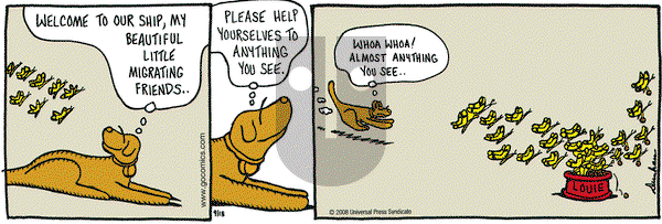 Overboard on Thursday September 18, 2008 Comic Strip