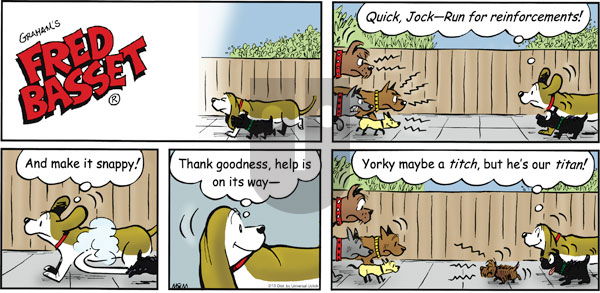 Fred Basset on Sunday February 13, 2011 Comic Strip