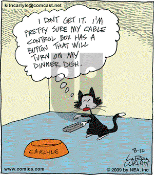 Kit 'N' Carlyle on Wednesday August 12, 2009 Comic Strip