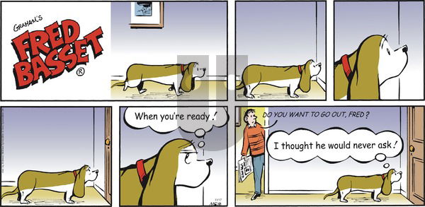 Fred Basset on Sunday November 17, 2019 Comic Strip