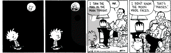 Calvin and Hobbes - Wednesday June 28, 1989 Comic Strip