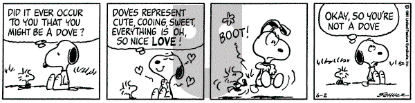 Peanuts on Tuesday June 2, 1981 Comic Strip