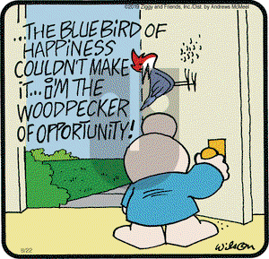 Ziggy on Thursday August 22, 2019 Comic Strip