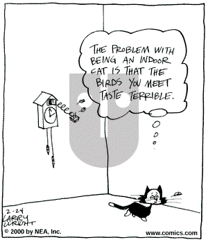 Kit 'N' Carlyle on Thursday February 24, 2000 Comic Strip