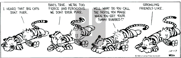 Calvin and Hobbes - Tuesday October 17, 1989 Comic Strip