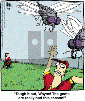 In the Bleachers on Friday May 9, 2014 Comic Strip