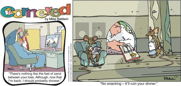 Cornered on Sunday February 24, 2019 Comic Strip