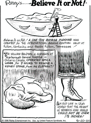 Ripley's Believe It or Not on Thursday May 20, 2004 Comic Strip