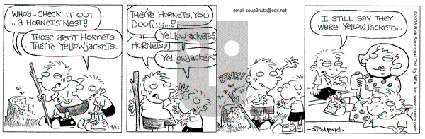 Soup to Nutz - Old on Friday August 22, 2003 Comic Strip