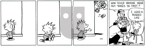 Calvin and Hobbes on Friday November 21, 2025 Comic Strip