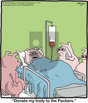 In the Bleachers on Thursday November 21, 2019 Comic Strip
