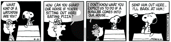 Peanuts on Friday August 21, 1981 Comic Strip
