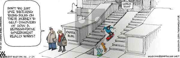 Non Sequitur on Tuesday January 24, 2017 Comic Strip