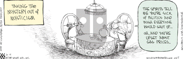 Non Sequitur - Wednesday June 4, 2008 Comic Strip