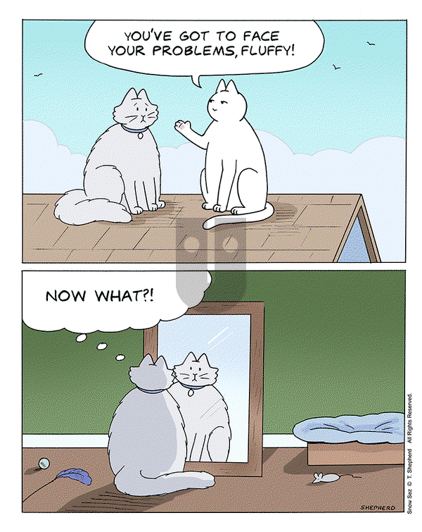 Snow Sez on Monday July 1, 2024 Comic Strip