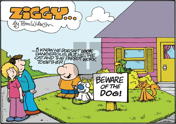 Ziggy - Sunday October 12, 2014 Comic Strip