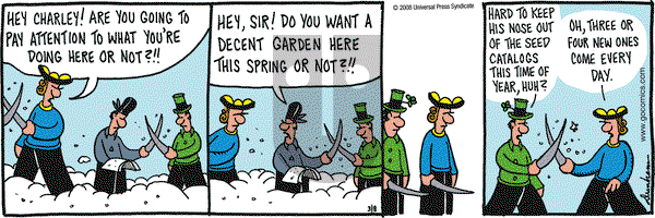 Overboard on Saturday March 8, 2008 Comic Strip