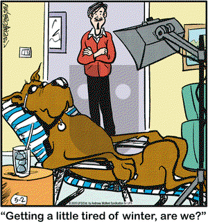 Marmaduke on Monday March 2, 2020 Comic Strip