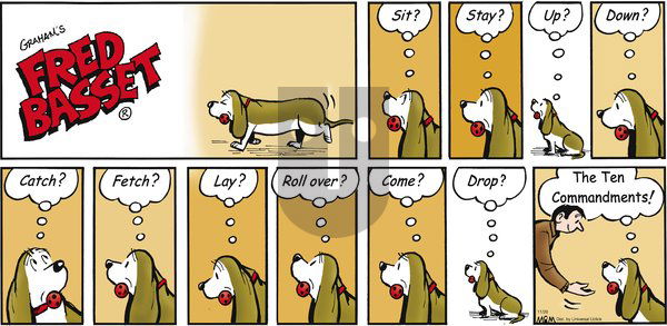 Fred Basset on Sunday November 20, 2011 Comic Strip