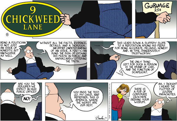 9 Chickweed Lane on Sunday November 9, 2008 Comic Strip