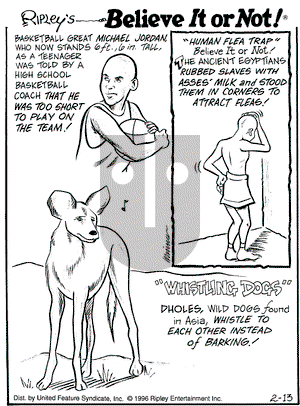Ripley's Believe It or Not on Tuesday February 13, 1996 Comic Strip