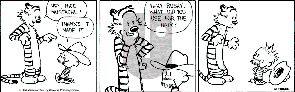 Calvin and Hobbes - Saturday October 9, 1993 Comic Strip