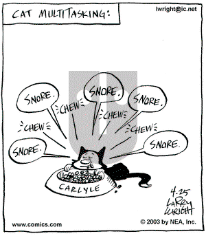 Kit 'N' Carlyle on Friday April 25, 2003 Comic Strip