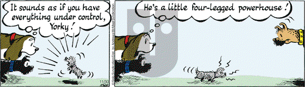 Fred Basset - Wednesday November 30, 2022 Comic Strip