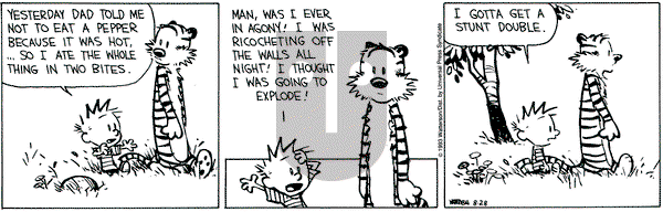 Calvin and Hobbes on Saturday August 28, 1993 Comic Strip