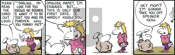 DeFlocked on Friday November 25, 2011 Comic Strip