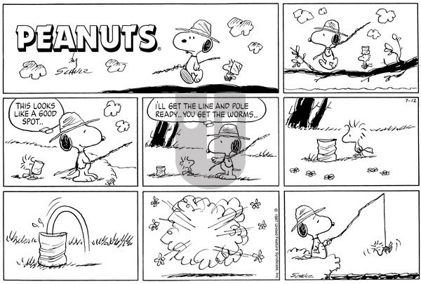 Peanuts on Sunday July 12, 1987 Comic Strip