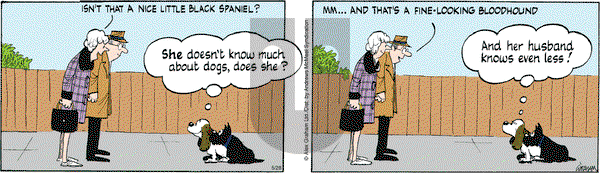 Fred Basset on Wednesday May 28, 2025 Comic Strip