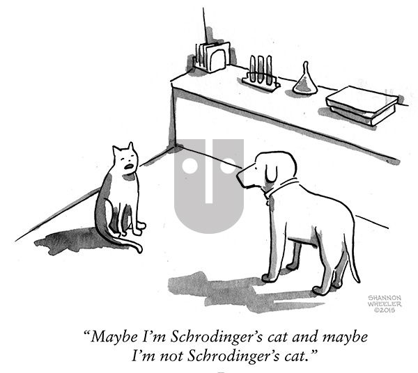 Too Much Coffee Man on Friday January 24, 2025 Comic Strip