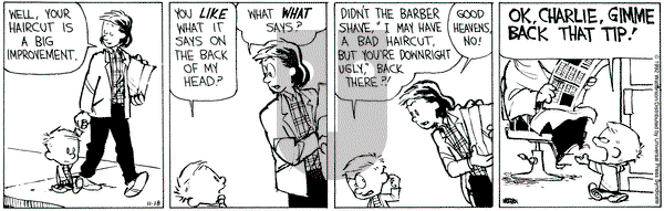 Calvin and Hobbes on Wednesday November 18, 1992 Comic Strip