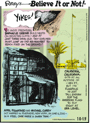 Ripley's Believe It or Not on Thursday October 15, 2015 Comic Strip