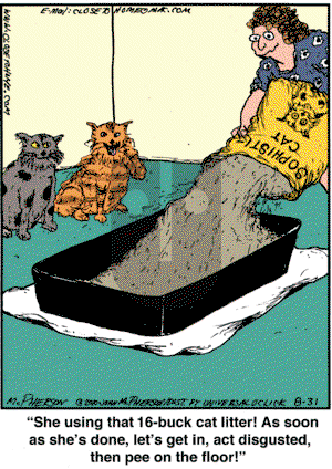 Close to Home on Tuesday August 31, 2010 Comic Strip