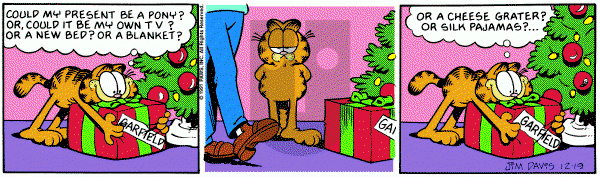 Garfield on Thursday December 19, 1991 Comic Strip