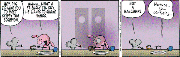 Pearls Before Swine on Thursday November 15, 2012 Comic Strip