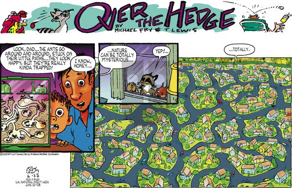 Over the Hedge on Sunday June 28, 2020 Comic Strip